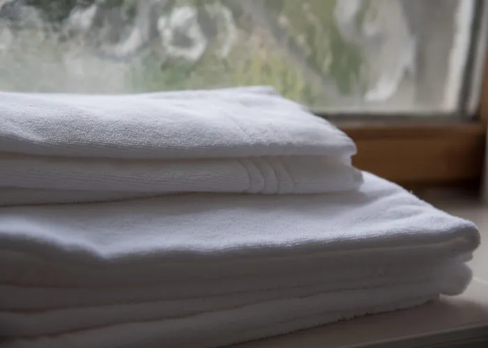 Hotel De L'ange Nyon